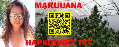 мяу мяу мука Бийск